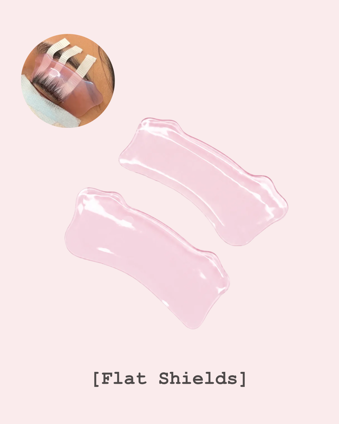 Puppy Love Flat Shields